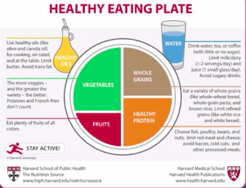 The Harvard Plate