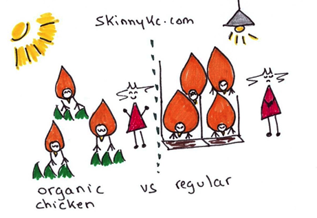 organic chicken vs regular