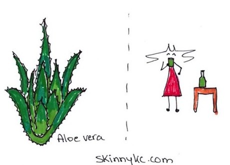 aloe vera juices