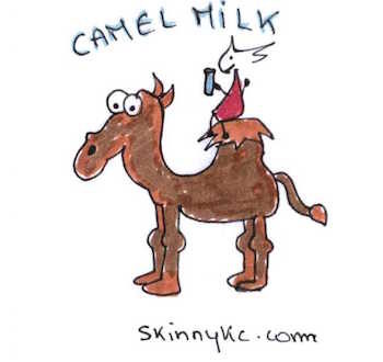 health benefits of camel milk
