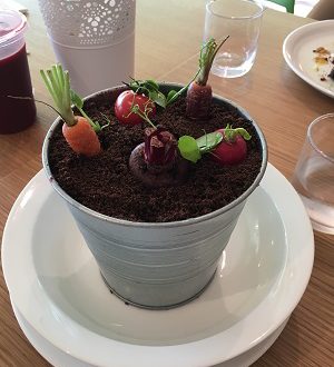 edible garden