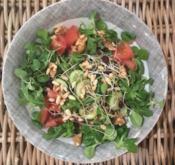 sprouted lentils salad